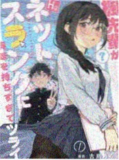 合租守则 短剧海报